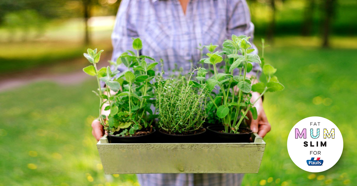 How to grow your own herb garden